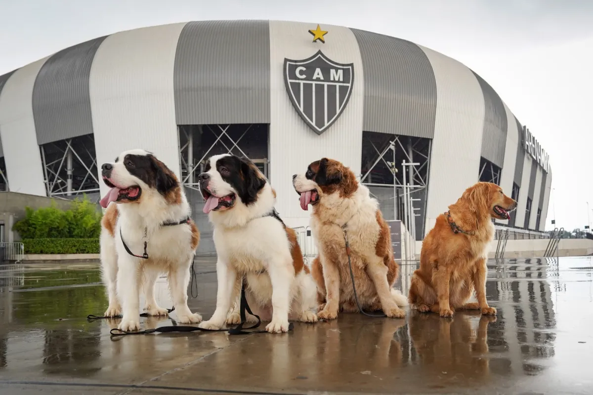 Arena MRV promove feira de adoção e projeto de cãoterapia neste sábado