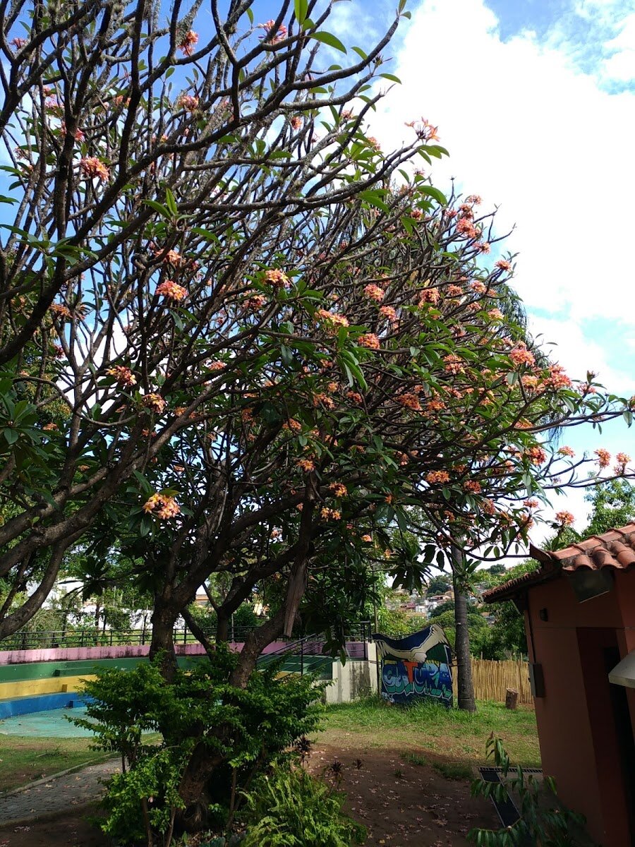 Centro Cultural Venda Nova
