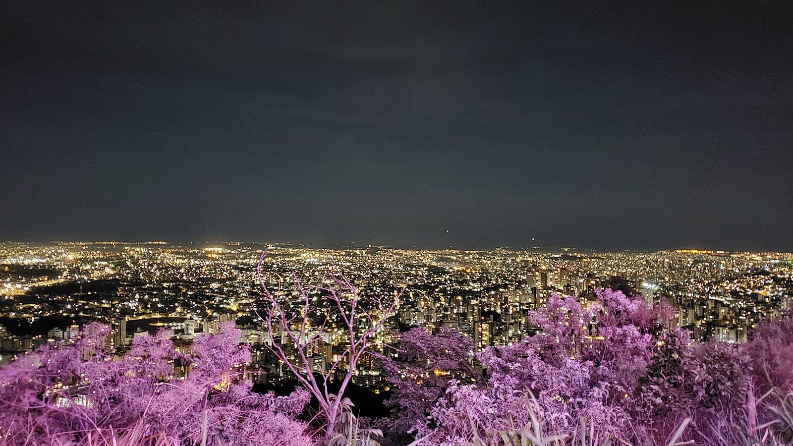 Mirante Beagá
