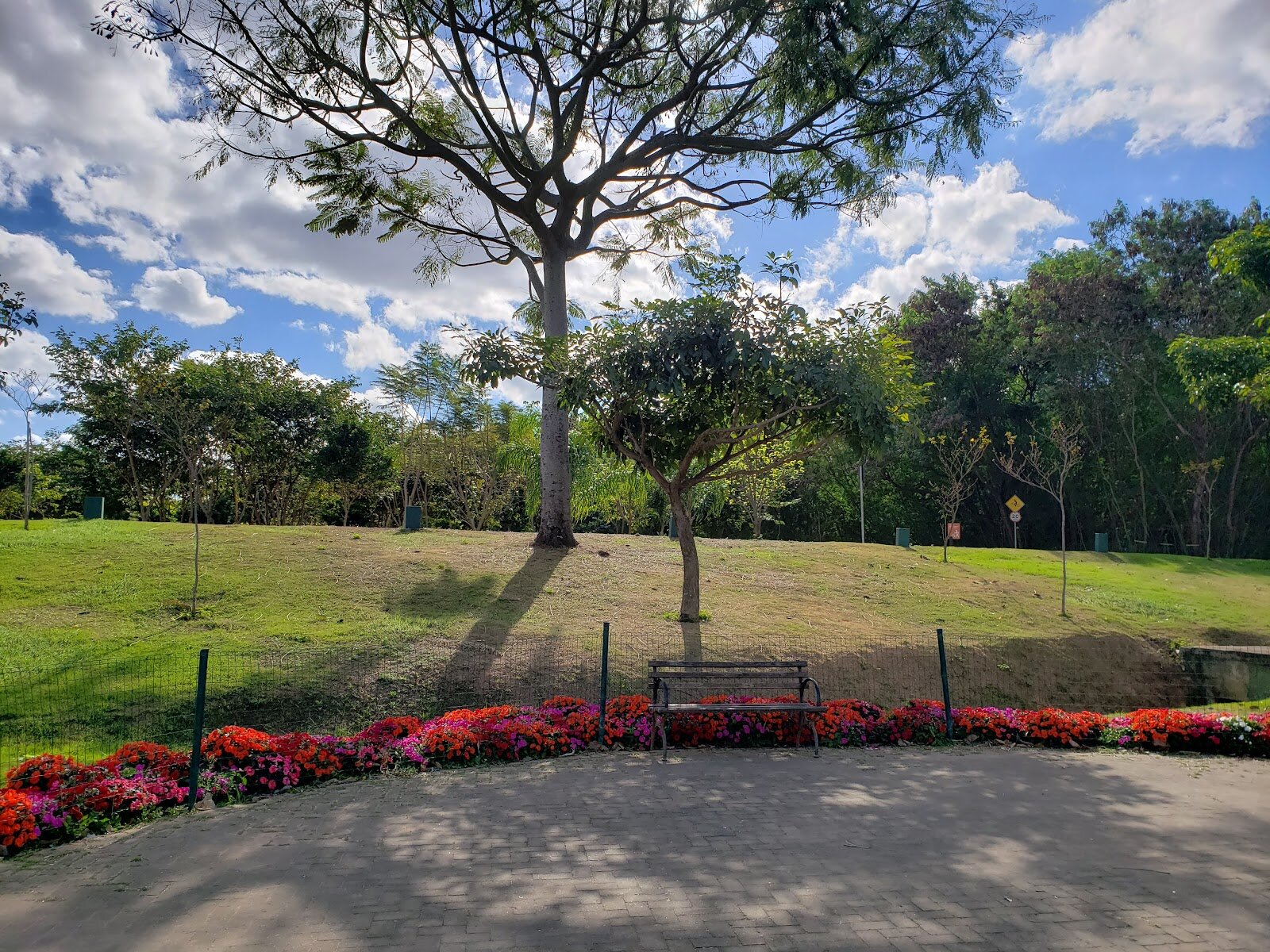 Parque Ecológico da Pampulha — foto do ambiente