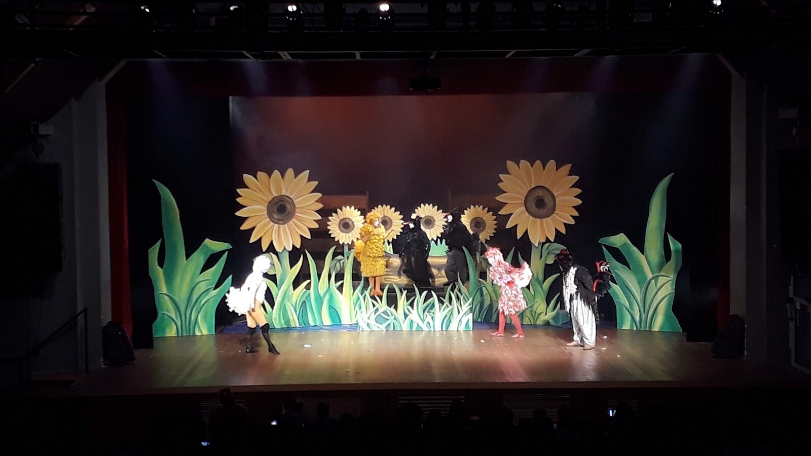 Teatro Francisco Nunes — foto do ambiente