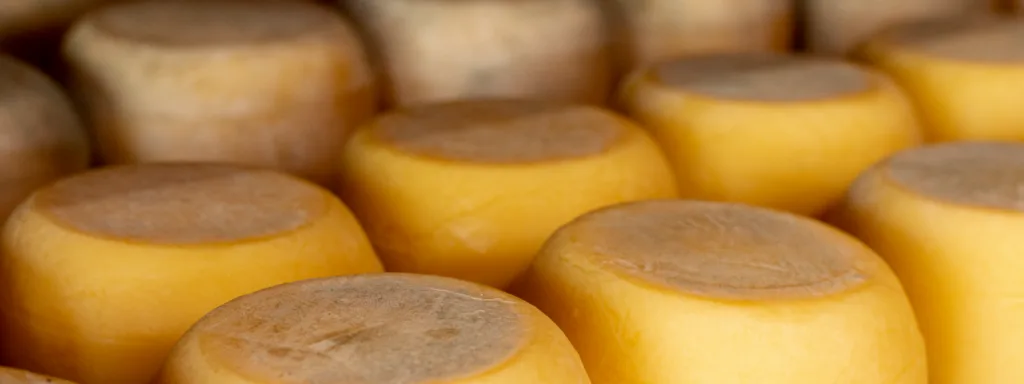 Bate-papo 29/set/26Memórias à mesa | Entre sabores e tradições do queijo